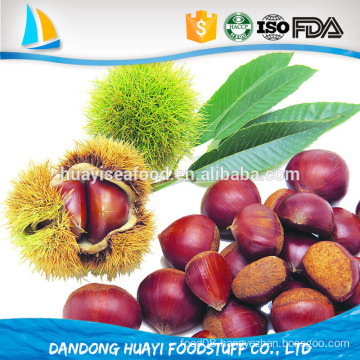 2015 Chinese Organic Fresh Chestnuts Raw Chestnut